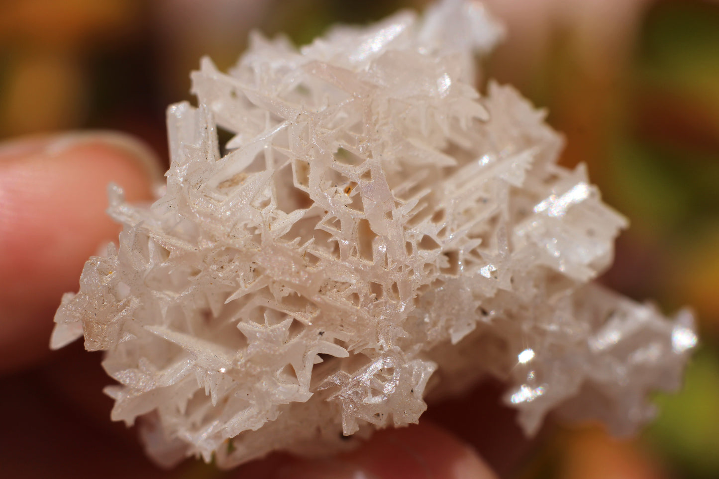 Snowflake Cerussite
