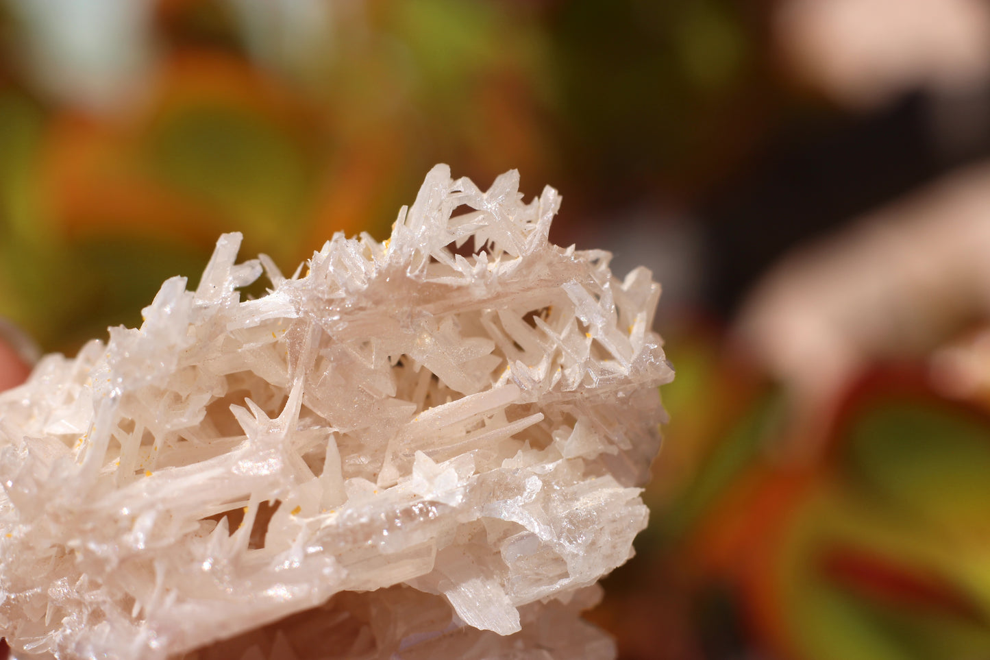 Snowflake Cerussite