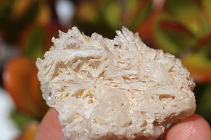 Snowflake Cerussite