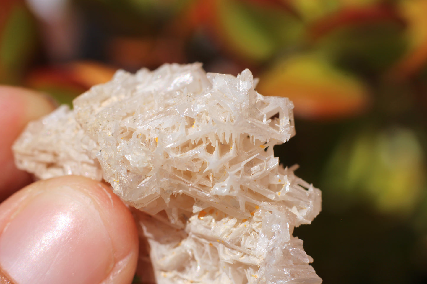 Snowflake Cerussite