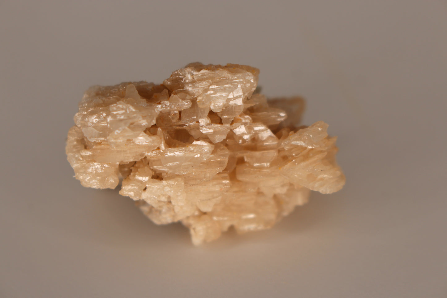 Snowflake Cerussite w/ Wulfenite