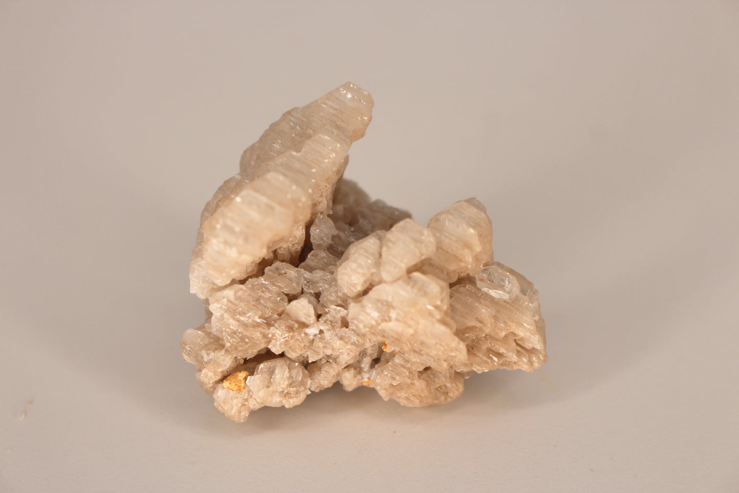 Snowflake Cerussite w/ Wulfenite