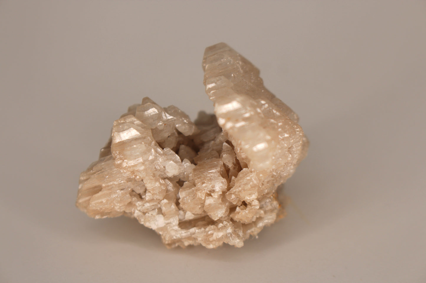 Snowflake Cerussite w/ Wulfenite