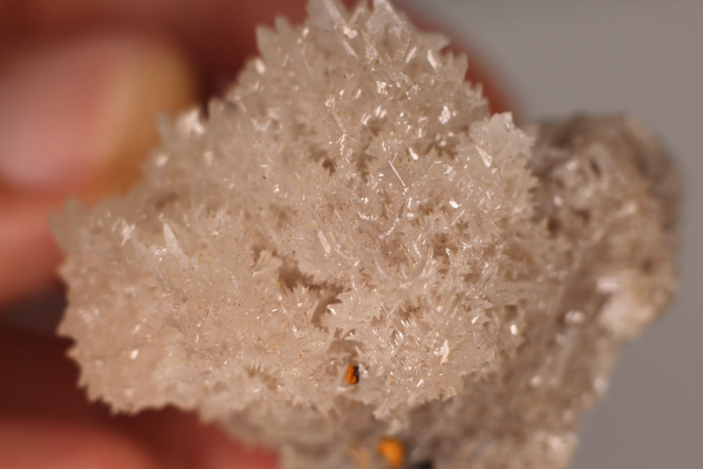 Snowflake Cerussite w/ Wulfenite