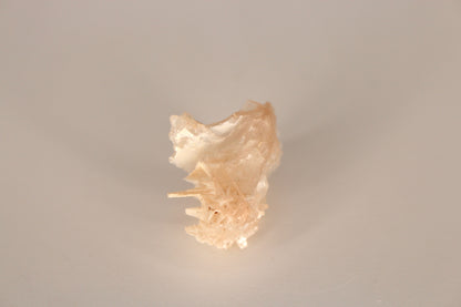 Snowflake Cerussite