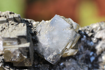 YGX Fluorite w/ Muscovite