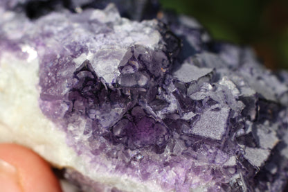 QR Code Purple Fluorite