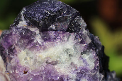 QR Code Purple Fluorite