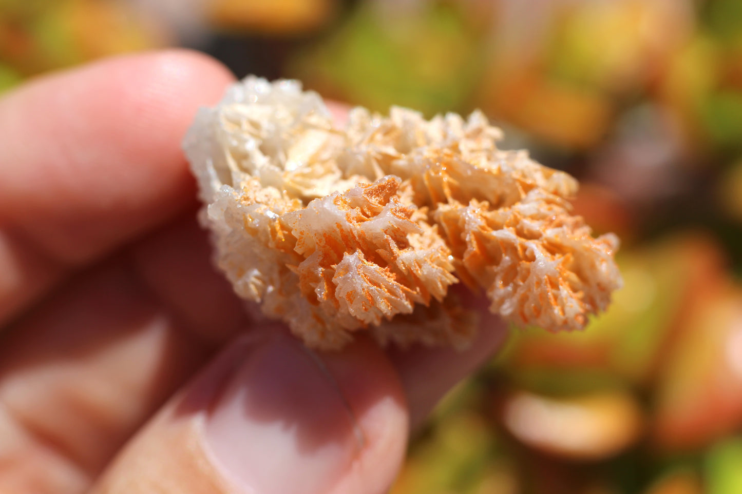 Snowflake Cerussite