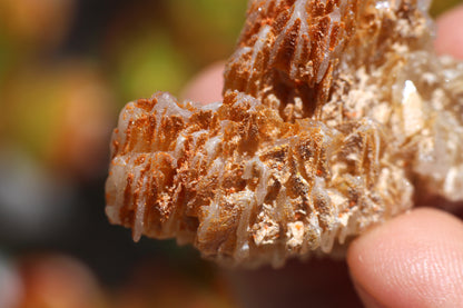 Snowflake Cerussite