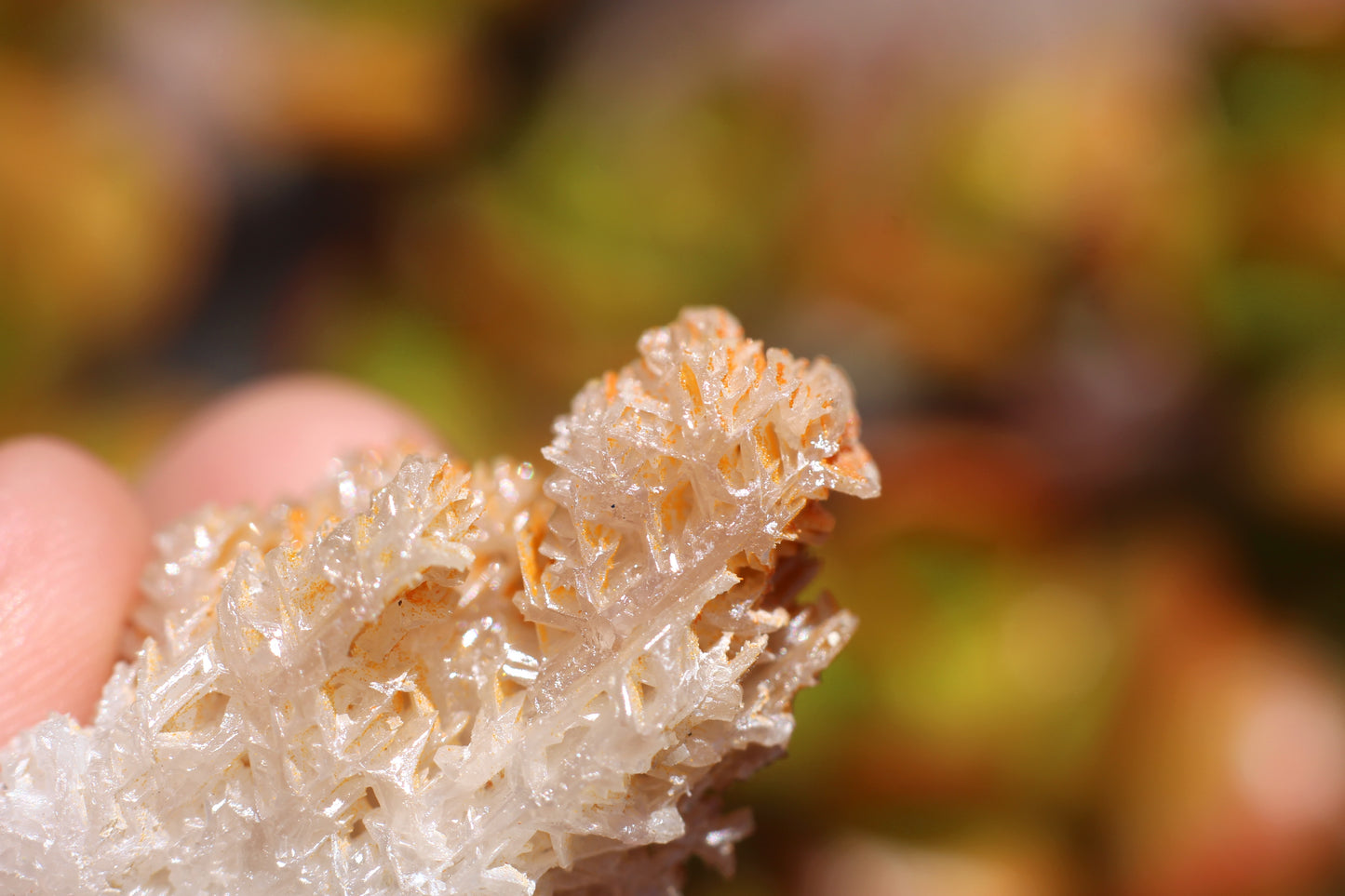 Snowflake Cerussite