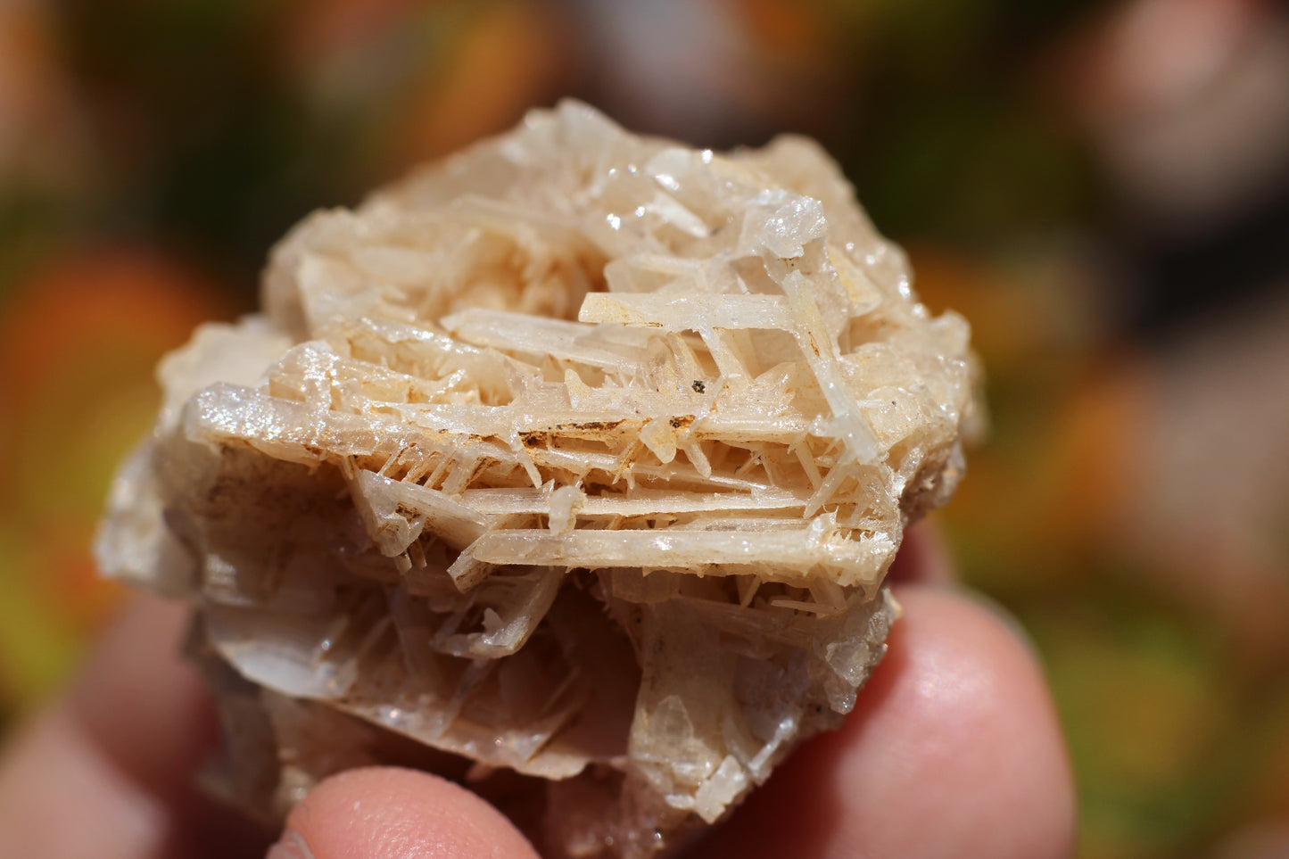 Snowflake Cerussite