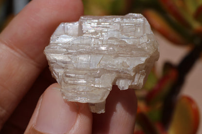 Snowflake Cerussite