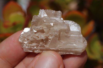 Snowflake Cerussite