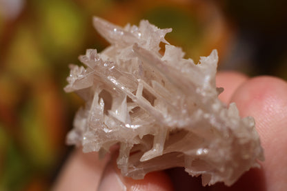 Snowflake Cerussite