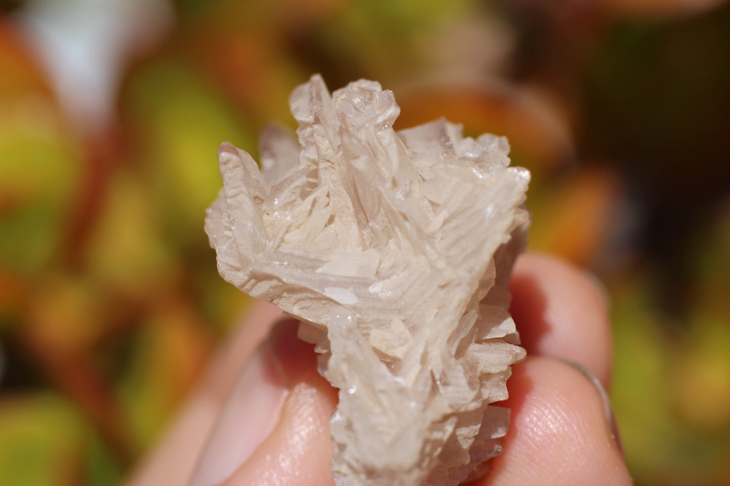 Snowflake Cerussite