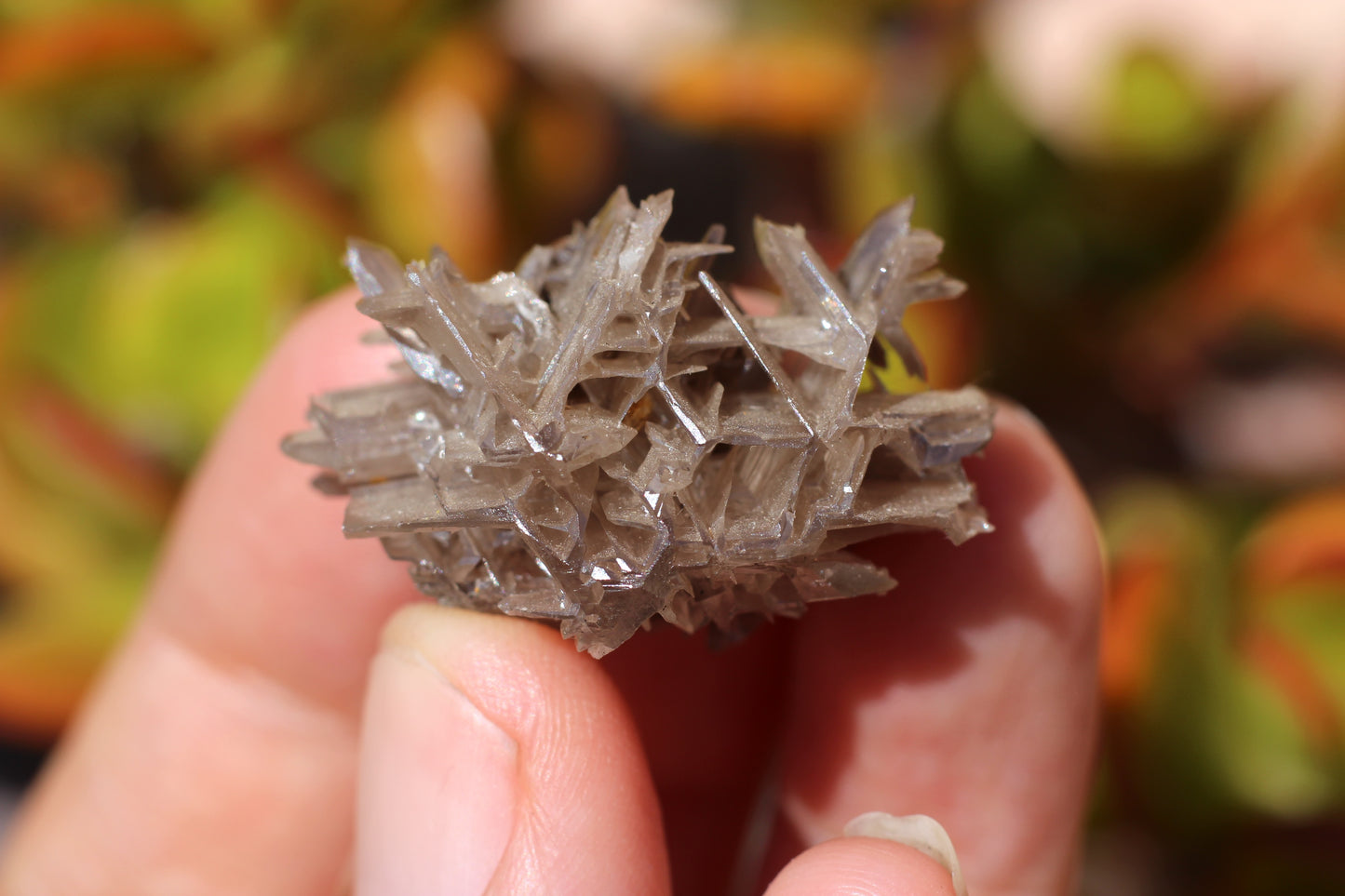 Snowflake Cerussite