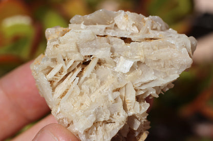 Snowflake Cerussite