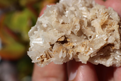 Snowflake Cerussite