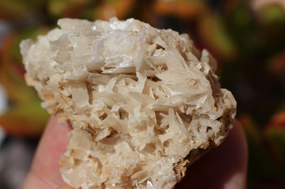 Snowflake Cerussite