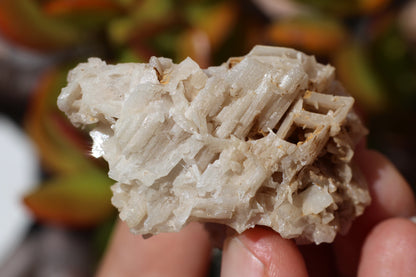 Snowflake Cerussite