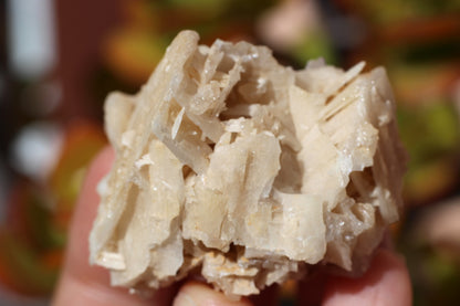 Snowflake Cerussite