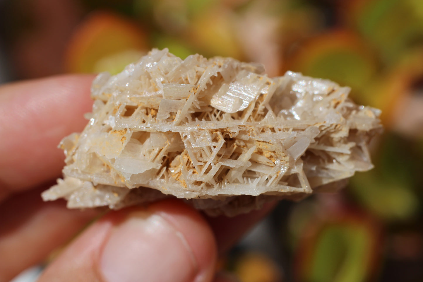 Snowflake Cerussite