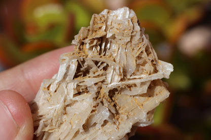 Snowflake Cerussite