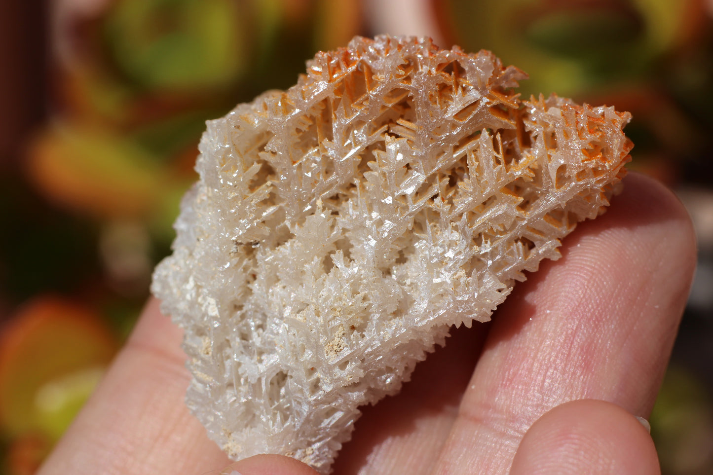 Snowflake Cerussite