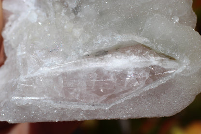 Calcite on Danburite