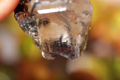 Calcite w/ Limonite Dendrite