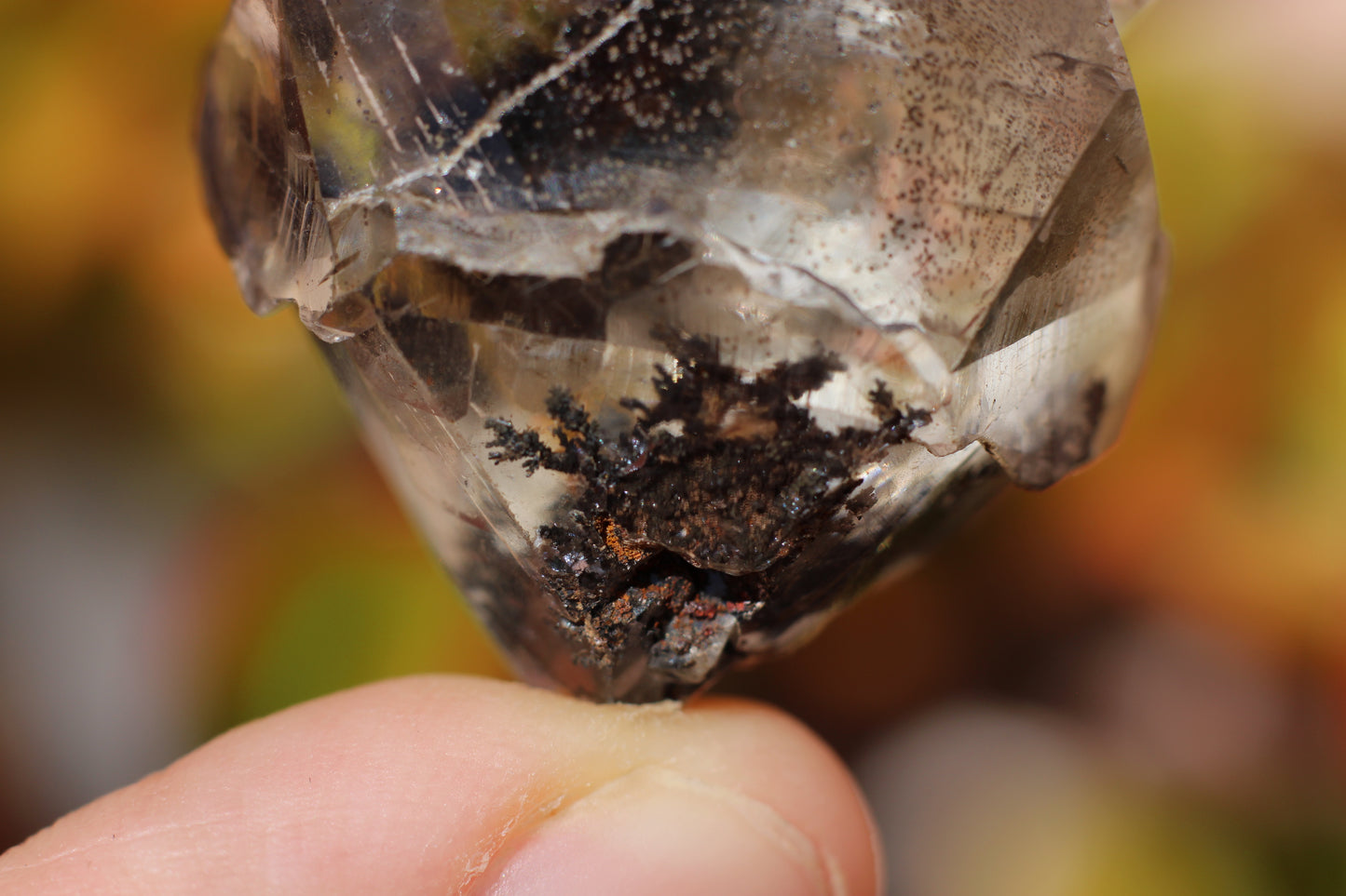 Calcite w/ Limonite Dendrite