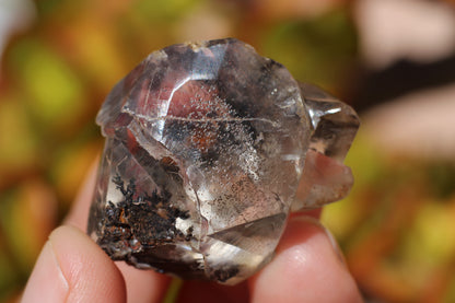 Calcite w/ Limonite Dendrite