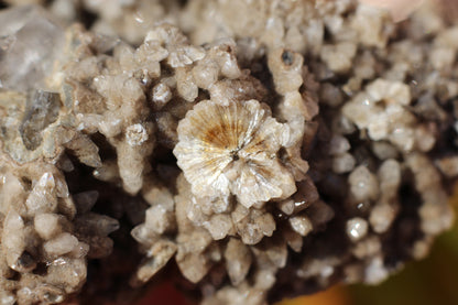 Calcite with Danburite and Pyrite