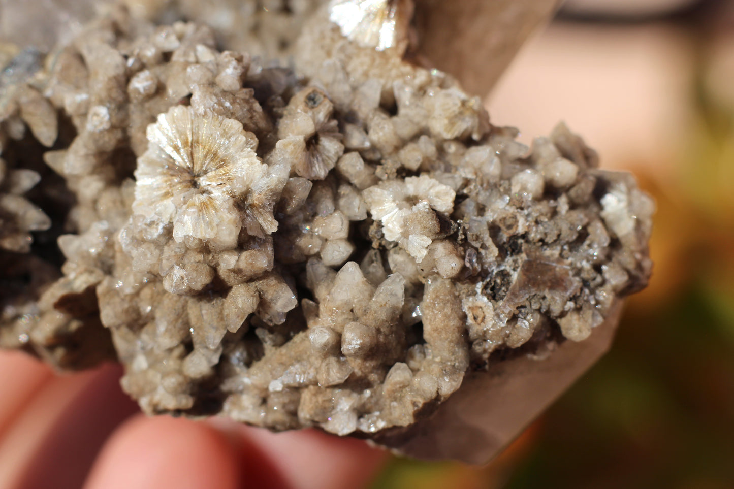 Calcite with Danburite and Pyrite