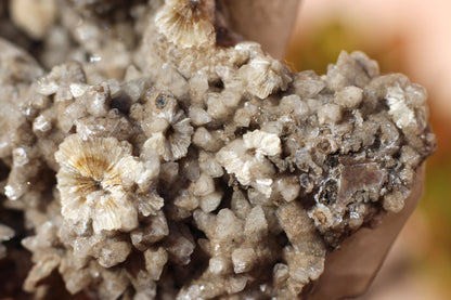 Calcite with Danburite and Pyrite