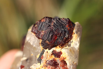 Etched Spessartine Garnet on Quartz w/ Schorl