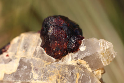 Etched Spessartine Garnet on Quartz w/ Schorl