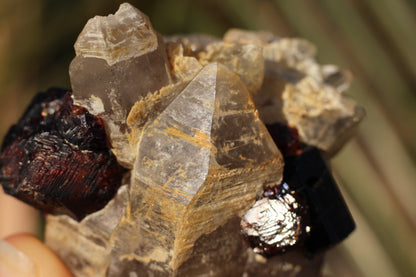 Etched Spessartine Garnet on Quartz w/ Schorl