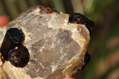 Etched Spessartine Garnet on Quartz w/ Schorl