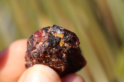 Etched Spessartine Garnet