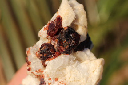 Etched Spessartine Garnet on Feldspar