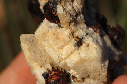 Etched Spessartine Garnet on Feldspar