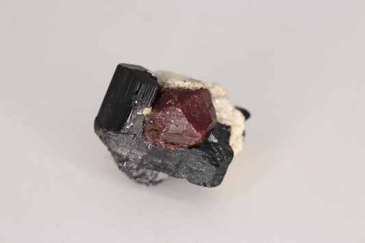 Etched Spessartine Garnet w/ Schorl on Albite