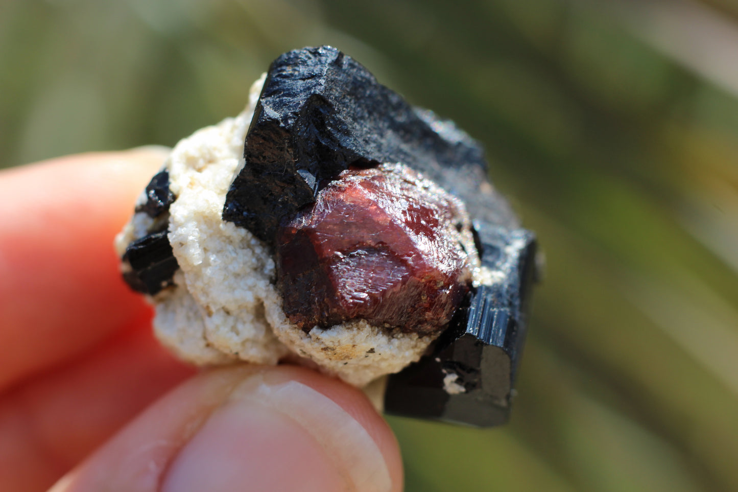 Etched Spessartine Garnet w/ Schorl on Albite