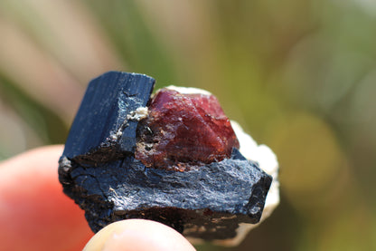 Etched Spessartine Garnet w/ Schorl on Albite