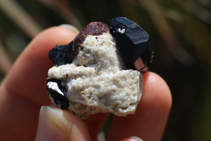 Etched Spessartine Garnet w/ Schorl on Albite