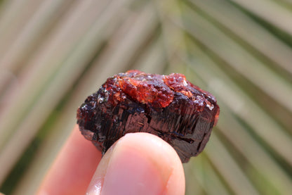 Etched Spessartine Garnet