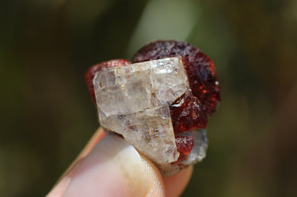 Etched Spessartine Garnet w/ Apatite