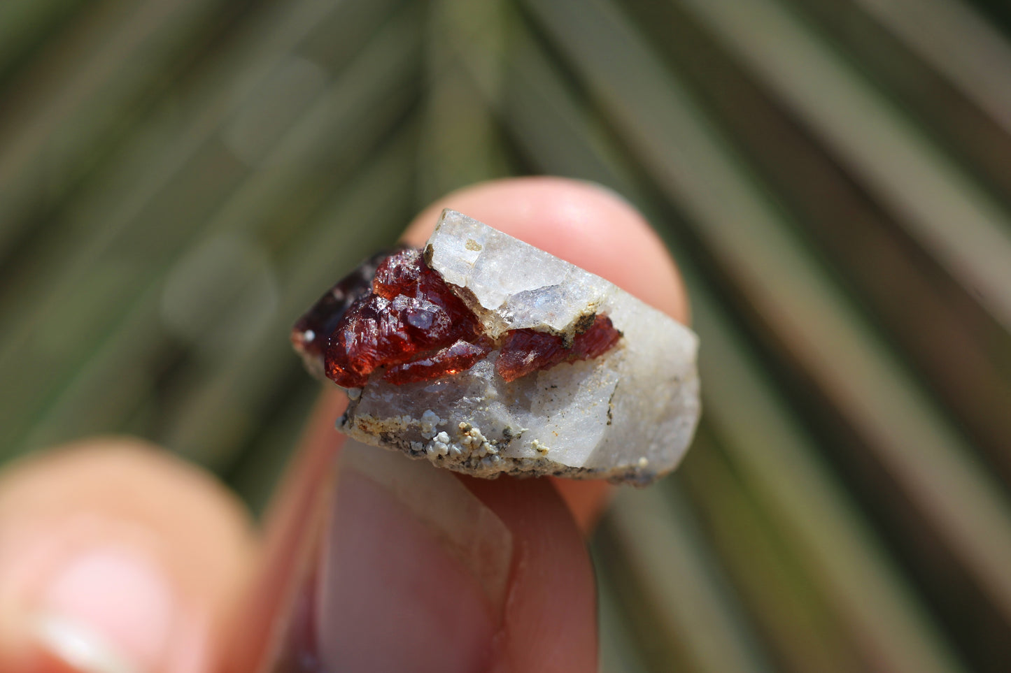 Etched Spessartine Garnet w/ Apatite